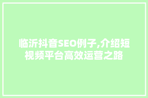 临沂抖音SEO例子,介绍短视频平台高效运营之路