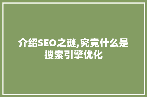 介绍SEO之谜,究竟什么是搜索引擎优化