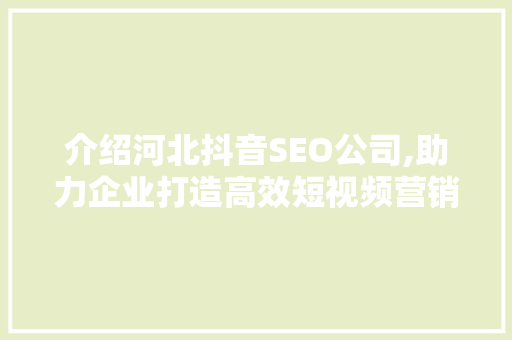 介绍河北抖音SEO公司,助力企业打造高效短视频营销步骤