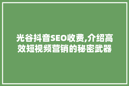 光谷抖音SEO收费,介绍高效短视频营销的秘密武器