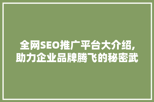 全网SEO推广平台大介绍,助力企业品牌腾飞的秘密武器