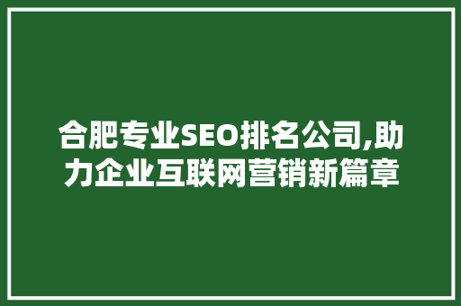 合肥专业SEO排名公司,助力企业互联网营销新篇章