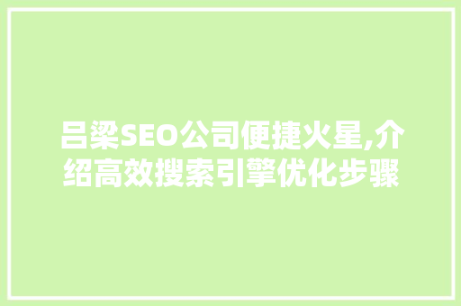 吕梁SEO公司便捷火星,介绍高效搜索引擎优化步骤