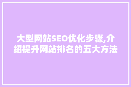大型网站SEO优化步骤,介绍提升网站排名的五大方法
