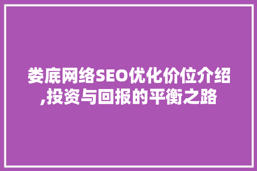 娄底网络SEO优化价位介绍,投资与回报的平衡之路  第1张