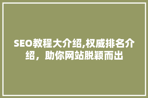SEO教程大介绍,权威排名介绍，助你网站脱颖而出