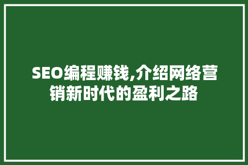 SEO编程赚钱,介绍网络营销新时代的盈利之路