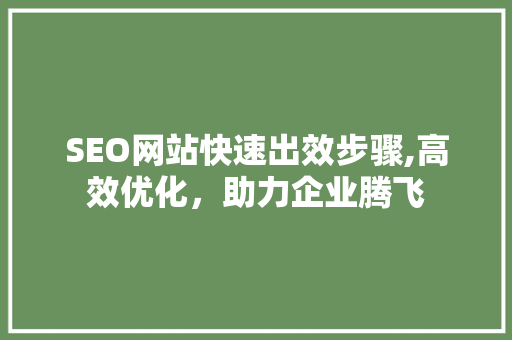 SEO网站快速出效步骤,高效优化，助力企业腾飞