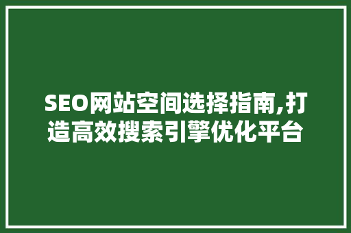 SEO网站空间选择指南,打造高效搜索引擎优化平台  第1张
