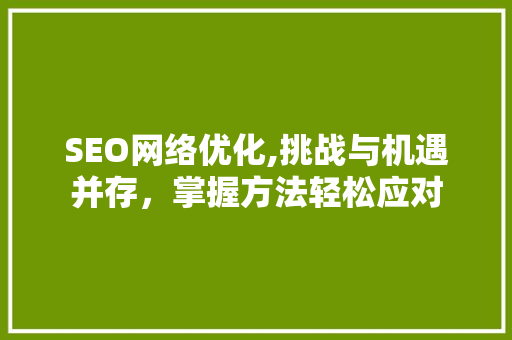 SEO网络优化,挑战与机遇并存，掌握方法轻松应对