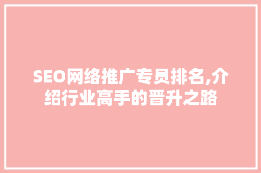 SEO网络推广专员排名,介绍行业高手的晋升之路