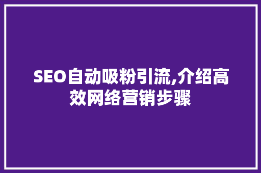 SEO自动吸粉引流,介绍高效网络营销步骤