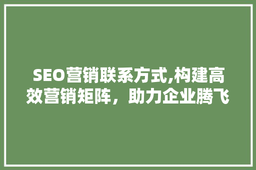 SEO营销联系方式,构建高效营销矩阵，助力企业腾飞