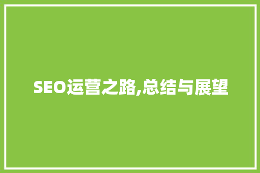 SEO运营之路,总结与展望