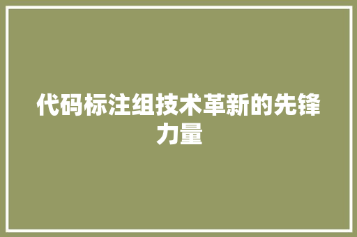 代码标注组技术革新的先锋力量