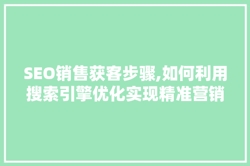 SEO销售获客步骤,如何利用搜索引擎优化实现精准营销
