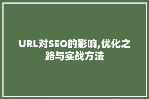 URL对SEO的影响,优化之路与实战方法