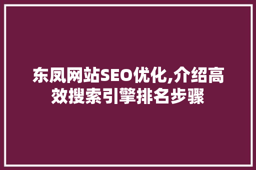 东凤网站SEO优化,介绍高效搜索引擎排名步骤