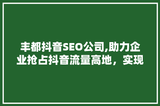 丰都抖音SEO公司,助力企业抢占抖音流量高地，实现品牌营销新突破