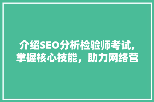 介绍SEO分析检验师考试,掌握核心技能，助力网络营销腾飞