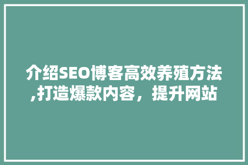 介绍SEO博客高效养殖方法,打造爆款内容，提升网站流量