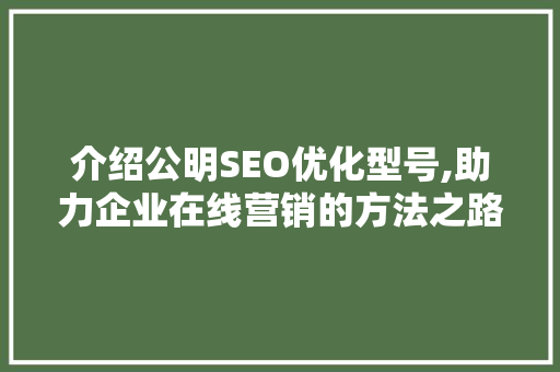 介绍公明SEO优化型号,助力企业在线营销的方法之路