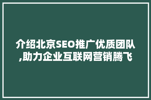 介绍北京SEO推广优质团队,助力企业互联网营销腾飞