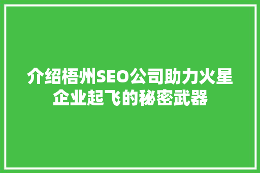 介绍梧州SEO公司助力火星企业起飞的秘密武器  第1张