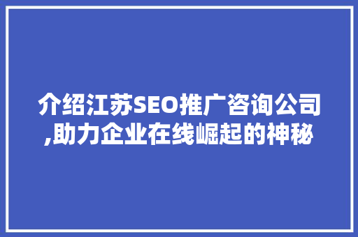 介绍江苏SEO推广咨询公司,助力企业在线崛起的神秘力量