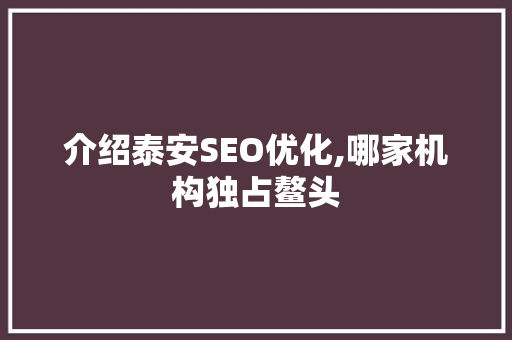 介绍泰安SEO优化,哪家机构独占鳌头