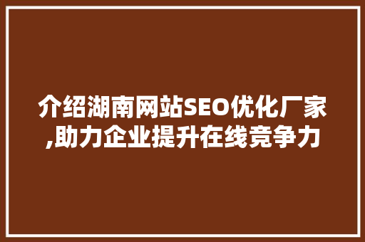 介绍湖南网站SEO优化厂家,助力企业提升在线竞争力