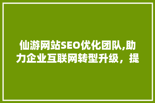 仙游网站SEO优化团队,助力企业互联网转型升级，提升品牌影响力
