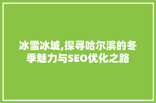 冰雪冰城,探寻哈尔滨的冬季魅力与SEO优化之路