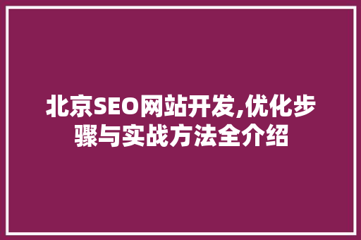 北京SEO网站开发,优化步骤与实战方法全介绍