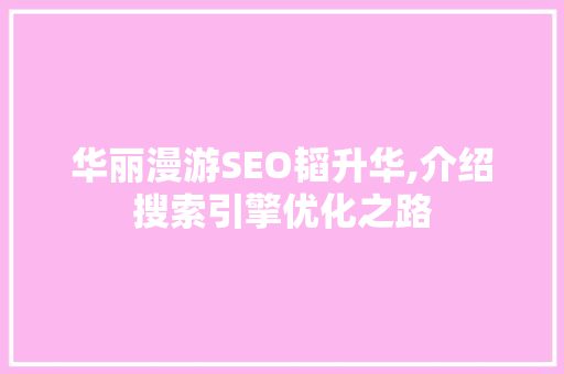 华丽漫游SEO韬升华,介绍搜索引擎优化之路  第1张
