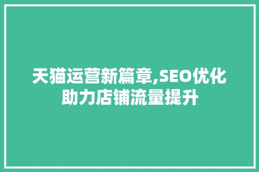 天猫运营新篇章,SEO优化助力店铺流量提升