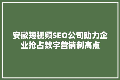 安徽短视频SEO公司助力企业抢占数字营销制高点