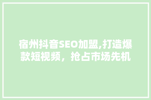 宿州抖音SEO加盟,打造爆款短视频，抢占市场先机