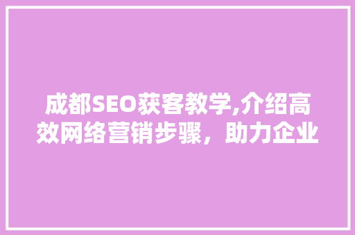 成都SEO获客教学,介绍高效网络营销步骤，助力企业突破增长瓶颈