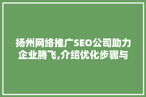 扬州网络推广SEO公司助力企业腾飞,介绍优化步骤与实战例子