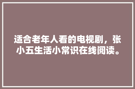 062代码探寻编程世界的神秘面纱