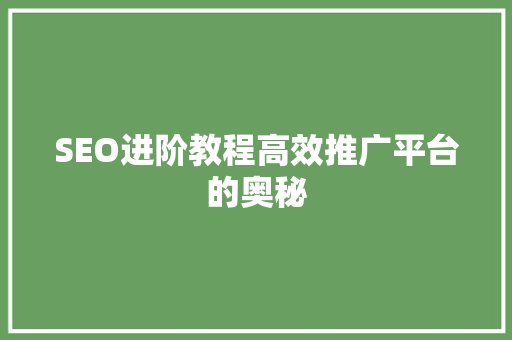 SEO进阶教程高效推广平台的奥秘