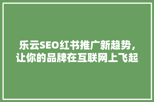 乐云SEO红书推广新趋势，让你的品牌在互联网上飞起来