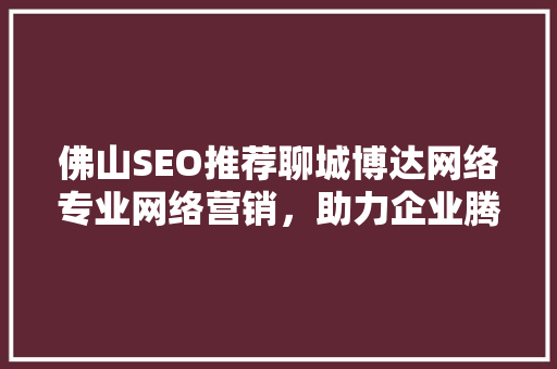 佛山SEO推荐聊城博达网络专业网络营销，助力企业腾飞