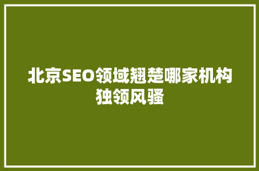 北京SEO领域翘楚哪家机构独领风骚