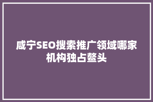 咸宁SEO搜索推广领域哪家机构独占鳌头