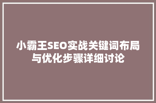 小霸王SEO实战关键词布局与优化步骤详细讨论