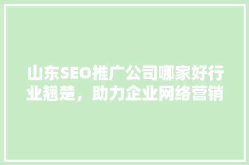 山东SEO推广公司哪家好行业翘楚，助力企业网络营销新高度