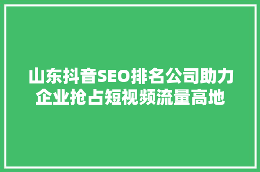 山东抖音SEO排名公司助力企业抢占短视频流量高地