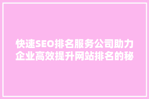 快速SEO排名服务公司助力企业高效提升网站排名的秘密武器